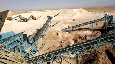 Kinglink Sand Maker Kl10 with Dual Motors for Phosphate Screening and Crushing 