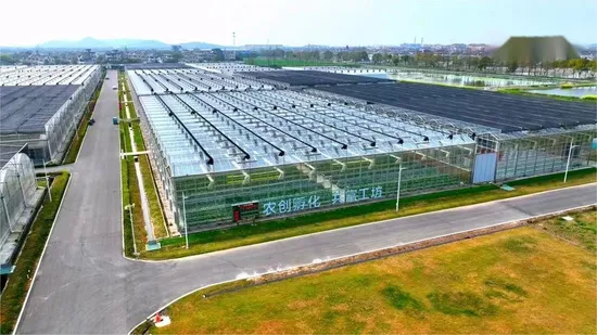 Heavy Duty Nylon Automatic Backwash Filtration System for Facility Agriculture Project 